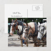 Carte Postale Trois chevaux de trait Merci (Devant / Derrière)