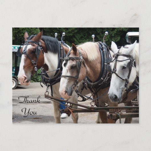 Carte Postale Trois chevaux de trait Merci (Devant)