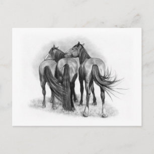 Carte Postale Trois chevaux : Fin arrière : Affection : Art cray
