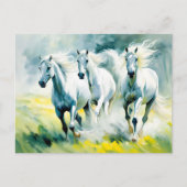Carte Postale Trois Chevaux Traversant Le Champ De Fleur (Devant)