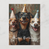 Carte Postale Trois chiens d'anniversaire (Devant)