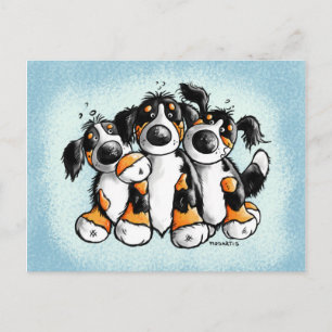 Carte postale Trois chiens de montagne bernois amu