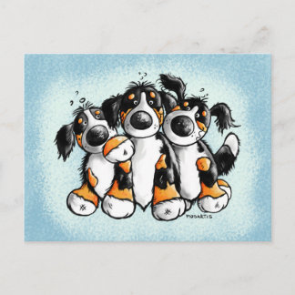 Carte postale Trois chiens de montagne bernois amu