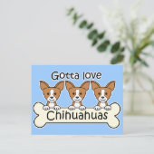 Carte Postale Trois Chihuahuas (Debout devant)