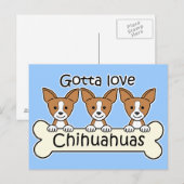 Carte Postale Trois Chihuahuas (Devant / Derrière)