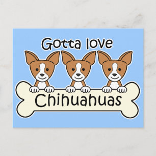 Carte Postale Trois Chihuahuas