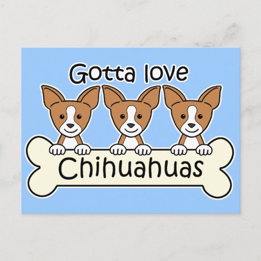 Carte Postale Trois Chihuahuas (Devant)