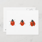 Carte Postale Trois coccinelles 2013 (Devant / Derrière)