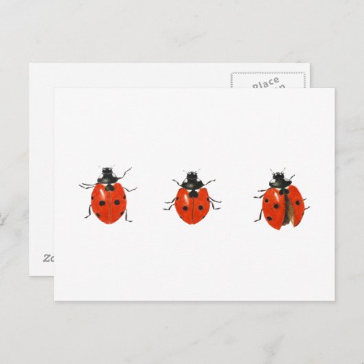 Carte Postale Trois coccinelles 2013 (Devant / Derrière)