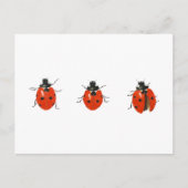 Carte Postale Trois coccinelles 2013 (Devant)