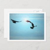 Carte postale Trois Corneilles (Devant / Derrière)