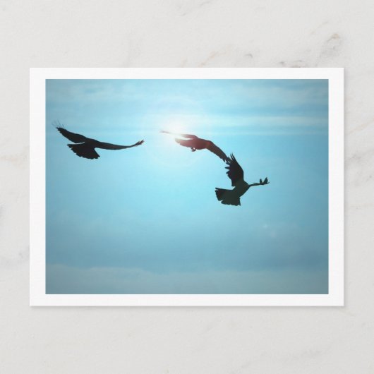 Carte postale Trois Corneilles (Devant)