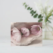 Carte Postale Trois cosmos roses (Debout devant)