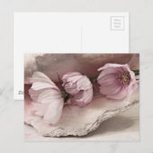 Carte Postale Trois cosmos roses (Devant / Derrière)