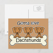 Carte Postale Trois Dachshunds (Devant / Derrière)