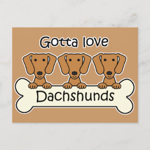 Carte Postale Trois Dachshunds