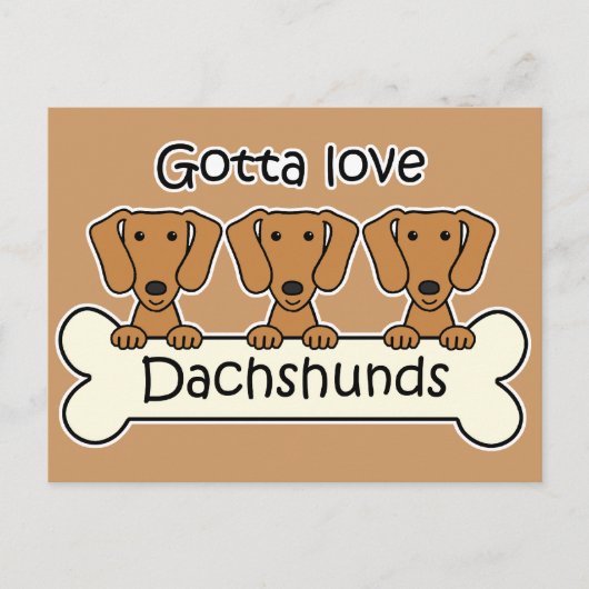 Carte Postale Trois Dachshunds (Devant)