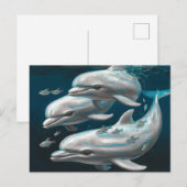 Carte Postale Trois dauphins (Devant / Derrière)