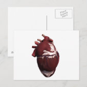 Carte Postale Trois Dimensions Du Coeur Humain, Côté Gauche (Devant / Derrière)