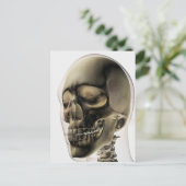 Carte Postale Trois Dimensions Du Crâne Humain Et Des Dents (Debout devant)