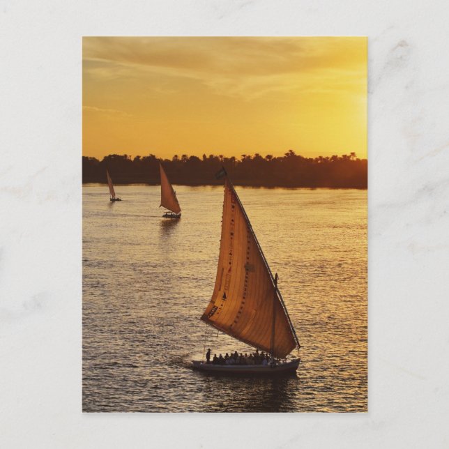 Carte Postale Trois falukas avec vue sur le Nil au (Devant)