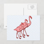Carte Postale Trois Flamants roses (Devant / Derrière)