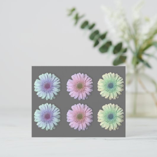 Carte Postale Trois Gerbera Daisy (Debout devant)