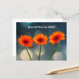 Carte postale Trois Gerberas orange alignés
