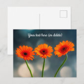 Carte postale Trois Gerberas orange alignés (Devant / Derrière)