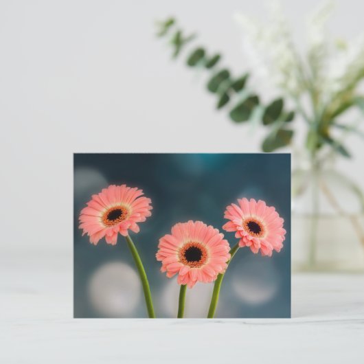 Carte postale Trois Gerberas roses (Debout devant)
