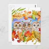 Carte Postale trois hiboux automne (Devant / Derrière)