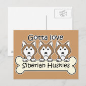 Carte Postale Trois Huskies de Sibérie (Devant / Derrière)