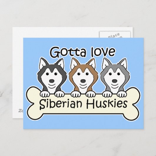 Carte Postale Trois Huskies sibériens (Devant / Derrière)