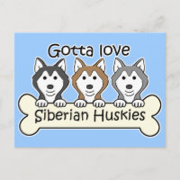 Trois Huskies sibériens