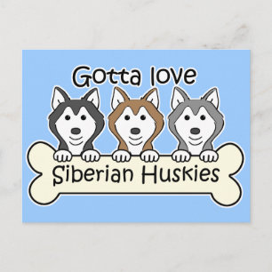 Carte Postale Trois Huskies sibériens