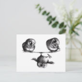 Carte Postale Trois Jolies Chouettes Sportives (Debout devant)