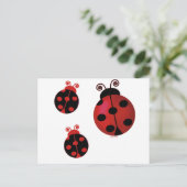 Carte Postale Trois Ladybugs (Debout devant)