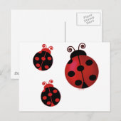 Carte Postale Trois Ladybugs (Devant / Derrière)