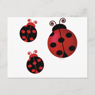 Carte Postale Trois Ladybugs