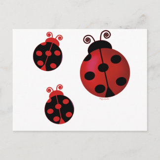 Carte Postale Trois Ladybugs