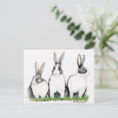 Carte Postale "Trois lapins" Animal Art Postacard (Debout devant)