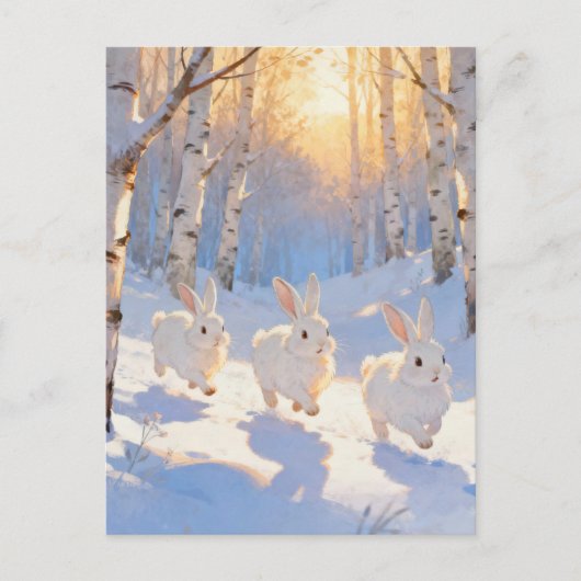 Carte Postale Trois lapins blancs d'hiver (Devant)