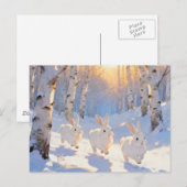 Carte Postale Trois lapins blancs d'hiver (Devant / Derrière)