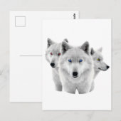 Carte Postale Trois Loups blancs (Devant / Derrière)