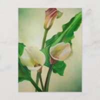 Trois Lys Calla Étonnant Botanique Acrylique