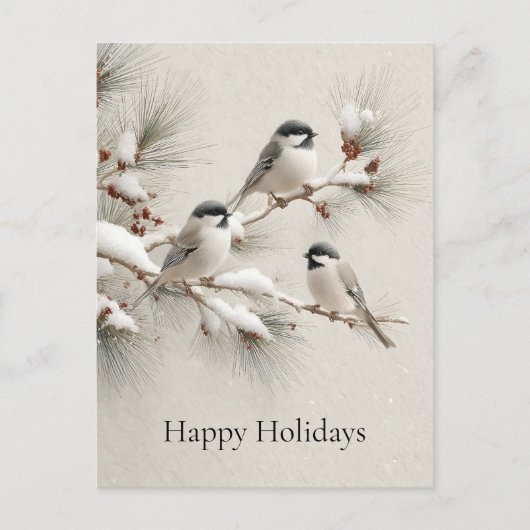 Carte Postale Trois mésanges sur une branche de pin couverte de (Devant)