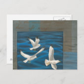 Carte Postale Trois mouettes blanches volent au-dessus de l'eau (Devant / Derrière)