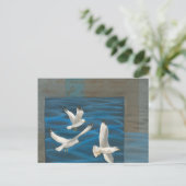 Carte Postale Trois mouettes blanches volent au-dessus de l'eau (Debout devant)