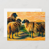 Carte Postale Trois moutons (Devant / Derrière)
