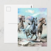 Carte Postale Trois Mustangs sauvages traversent les plaines (Devant / Derrière)